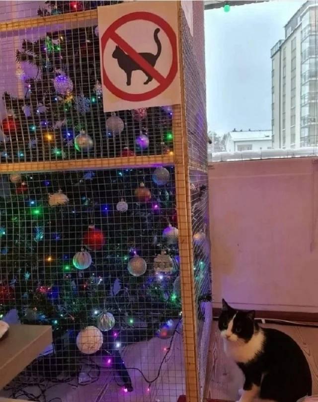 Подборка прикольных фото №3860