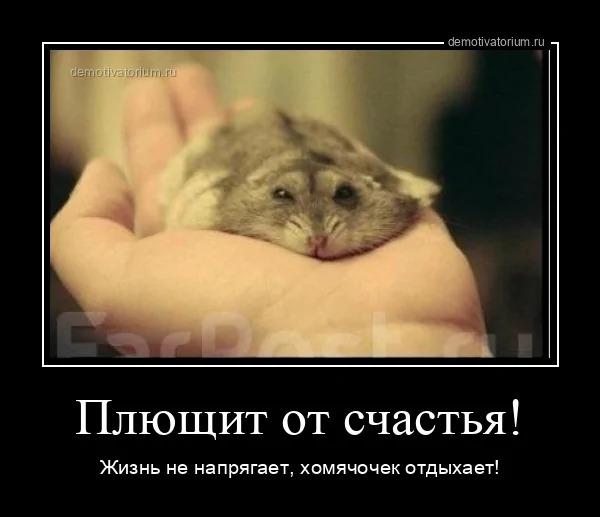 
			Демотиваторы №3780 (18 фото)