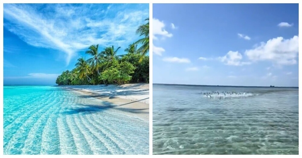 
        Рыбы напугали девушку на&nbsp;Мальдивах    