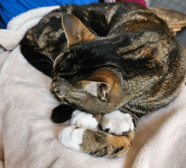 Подборка фотографий, на которые нужно посмотреть дважды (20 фото)