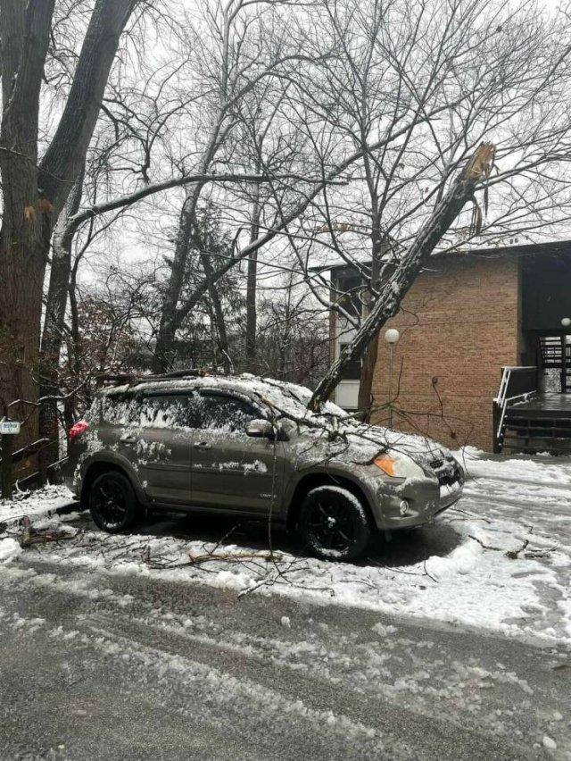 Подборка прикольных фото №3878