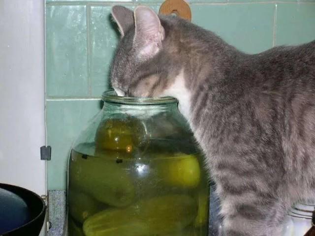 Подборка прикольных фото №3860