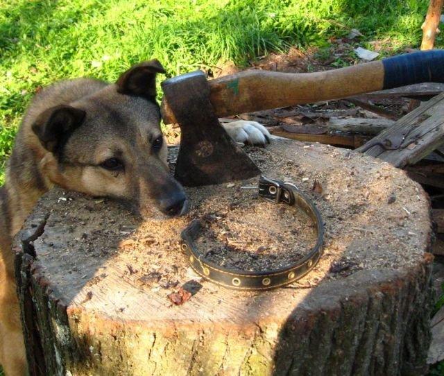 Подборка прикольных фото №3875