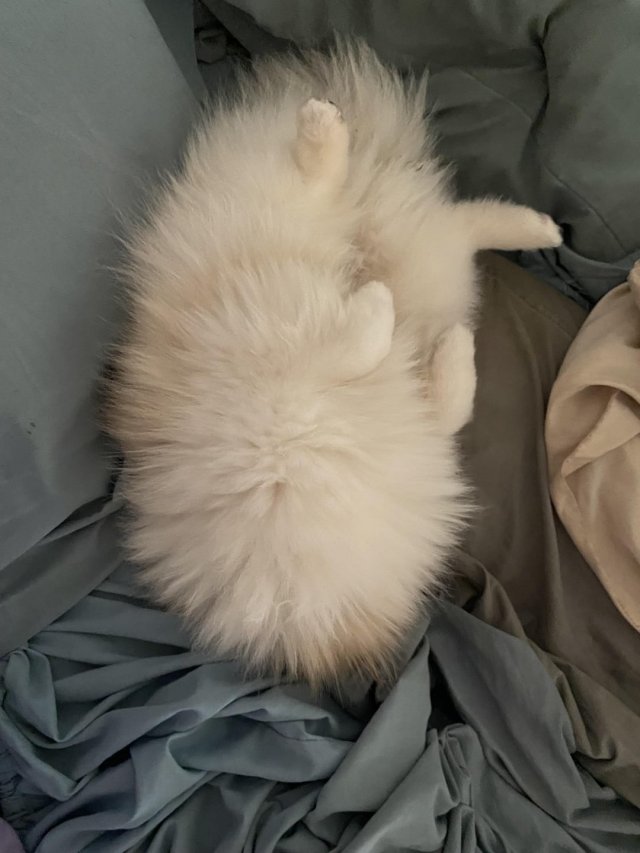 Подборка фотографий, на которые нужно посмотреть дважды (20 фото)