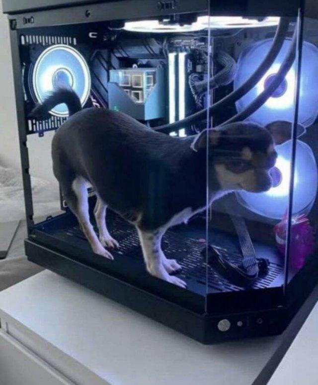 Подборка прикольных фото №3869