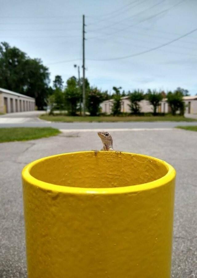 Подборка прикольных фото №3874