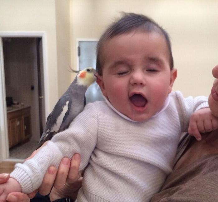 Подборка прикольных фото №3872