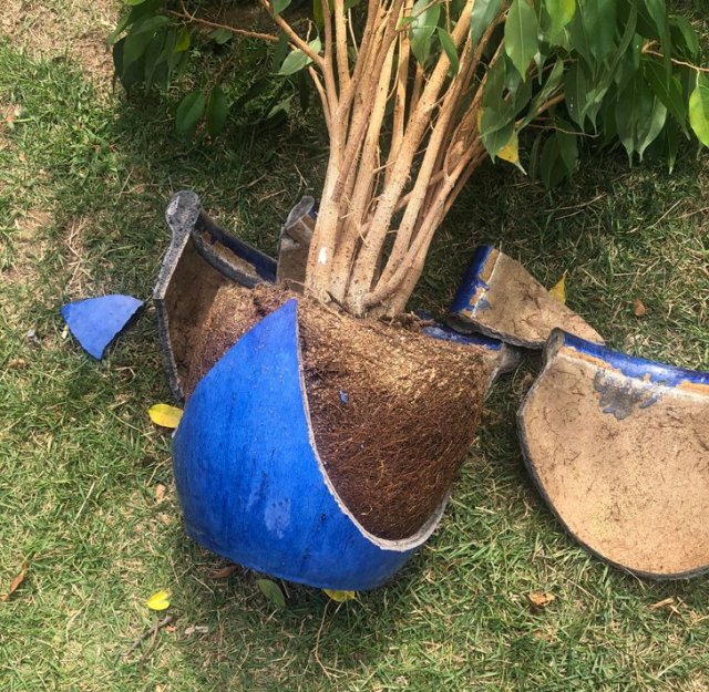 Неприятности случаются: примеры того, как людям не повезло (21 фото) Неприятности случаются: примеры того, как людям не повезло (21 фото)