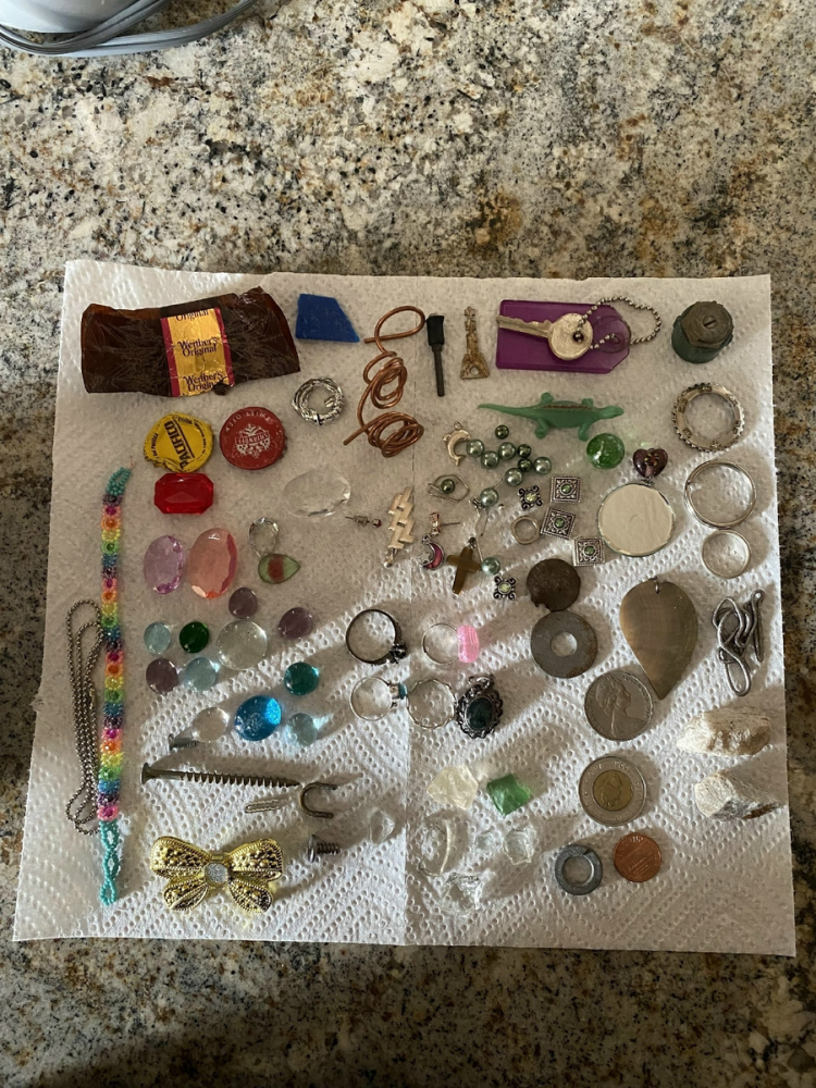 
        Никогда не&nbsp;переходи дорогу вороне. Она&nbsp;будет мстить всю&nbsp;жизнь!    