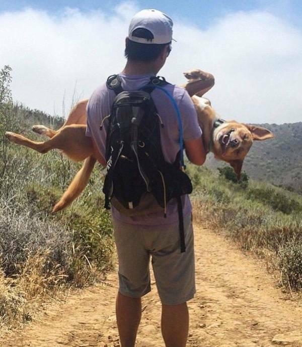 Подборка прикольных фото №3879