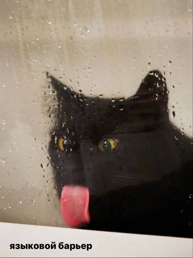 Лучшие шутки и картинки из Сети - 28.01.2026 (15 фото) Лучшие шутки и картинки из Сети - 28.01.2026 (15 фото)