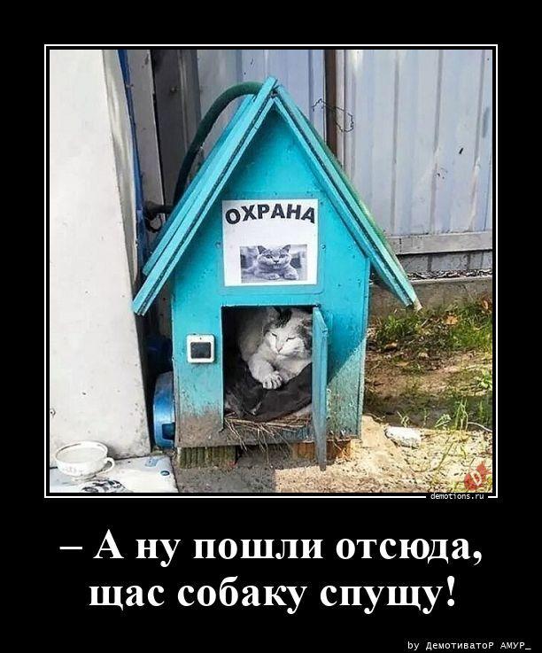 
			Демотиваторы №3782 (15 фото)