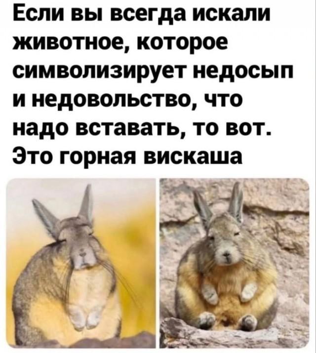 Подборка прикольных фото №3868