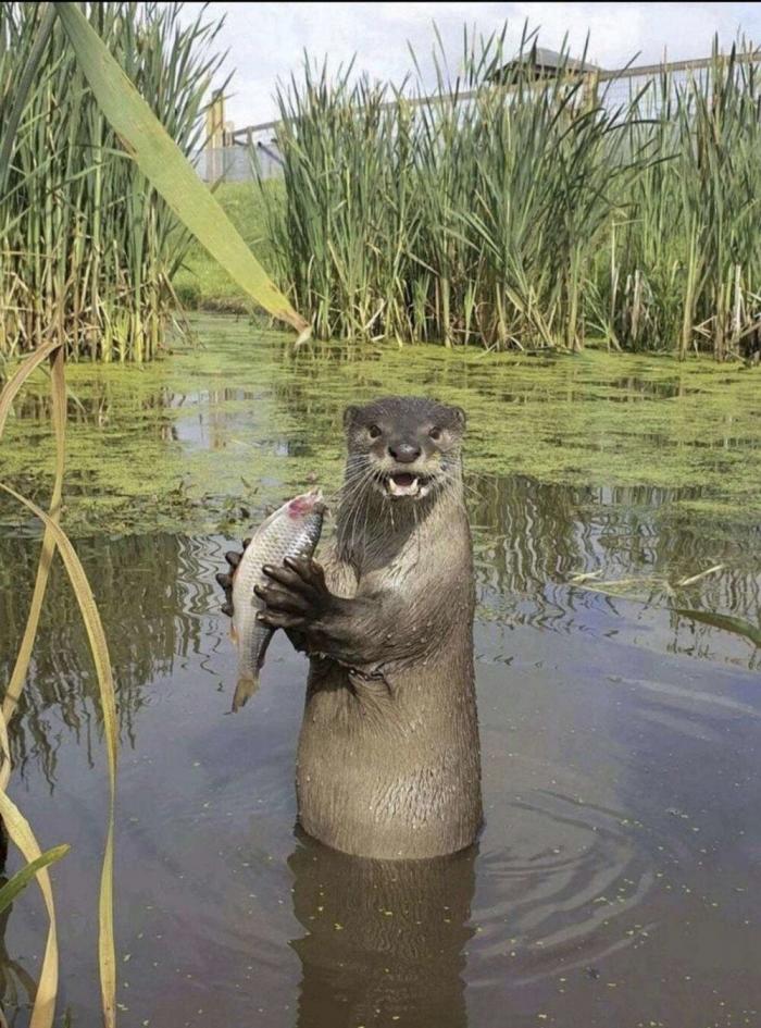 Подборка прикольных фото №3877