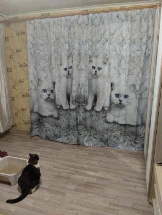 Подборка прикольных фото №3860