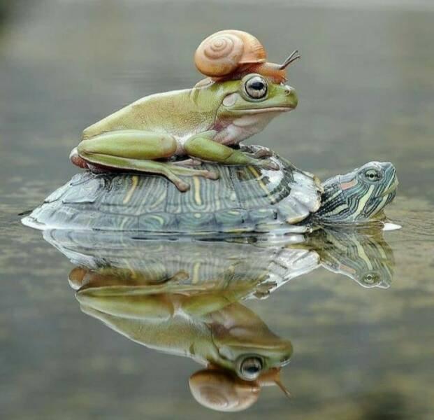 Подборка прикольных фото №3867