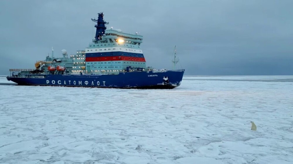 Белый медведь осмотрел ледокол
Белый медведь осмотрел ледокол