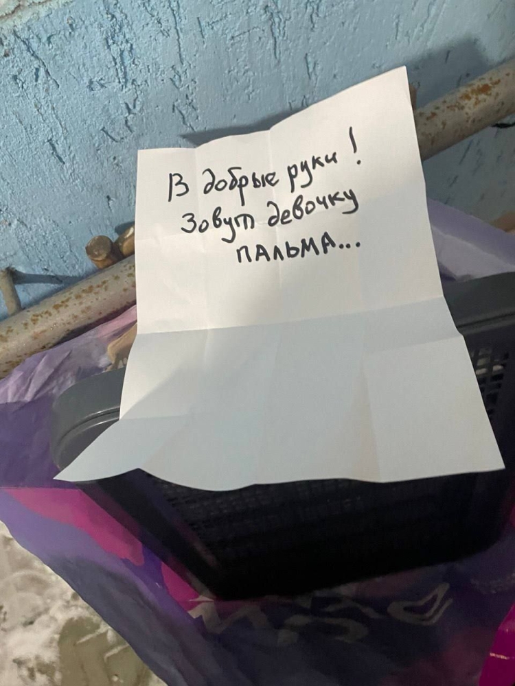 
        &laquo;Сваливаем, ты&nbsp;была хорошая&raquo;: хозяева привязали щенка у&nbsp;подъезда и&nbsp;оставили на&nbsp;морозе в&nbsp;Нижнем Новгороде    