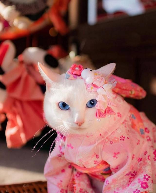 Подборка прикольных фото №3872