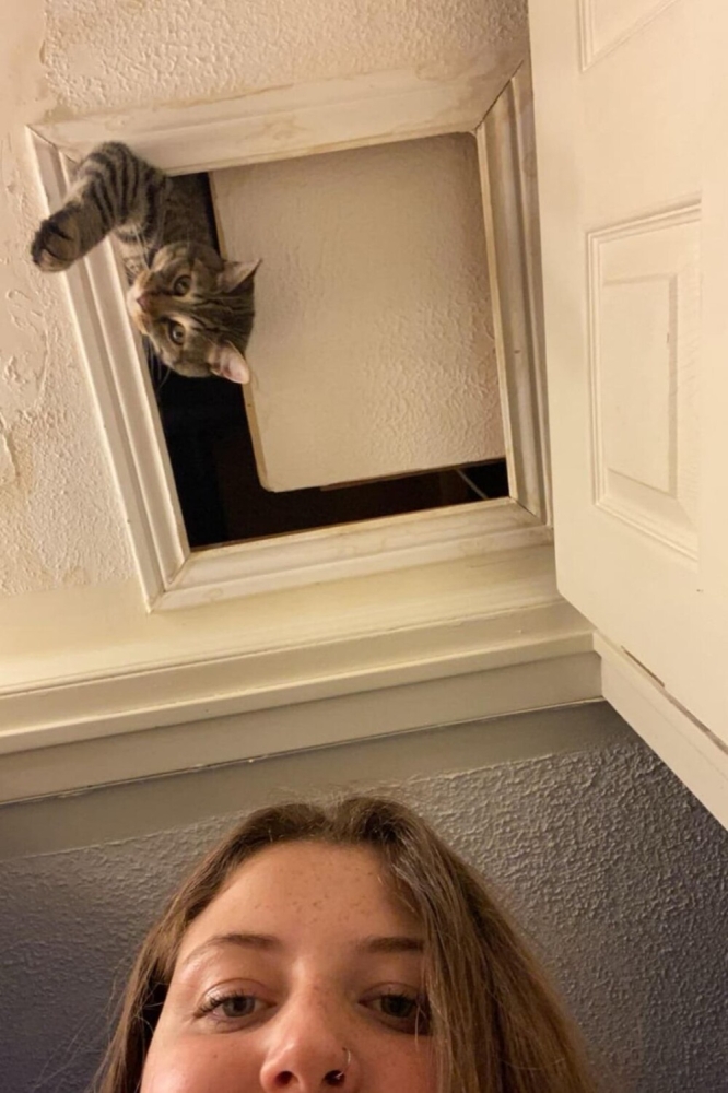 25 котиков, которые следят за дедлайнами и настроением
25 котиков, которые следят за дедлайнами и настроением