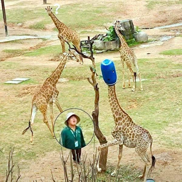 Подборка прикольных фото №3879