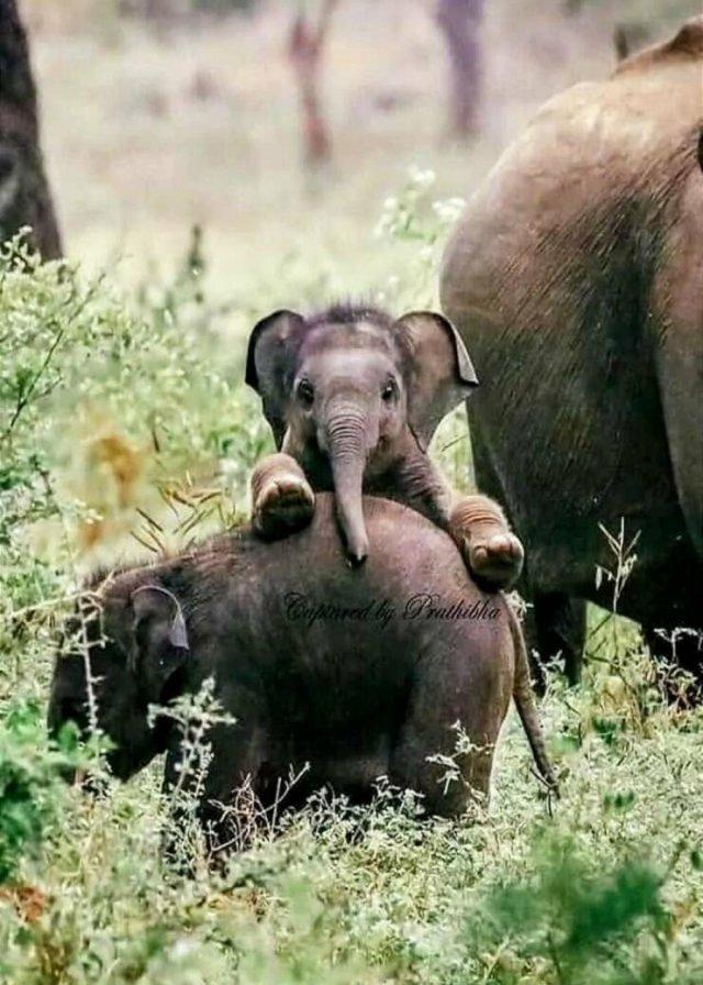 Подборка прикольных фото №3869