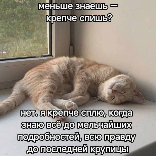 Лучшие шутки и мемы из Сети - 27.01.2026 (15 фото)