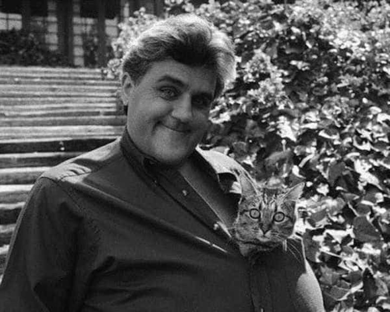 23 винтажных снимка, демонстрирующих неразрывную связь знаменитостей с их пушистыми компаньонами
23 винтажных снимка, демонстрирующих неразрывную связь знаменитостей с их пушистыми компаньонами