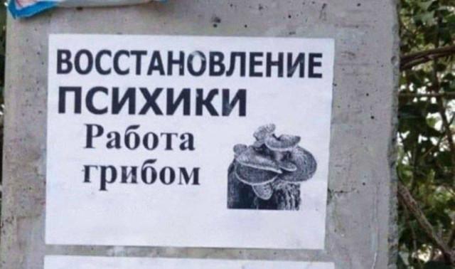 Подборка прикольных фото №3860