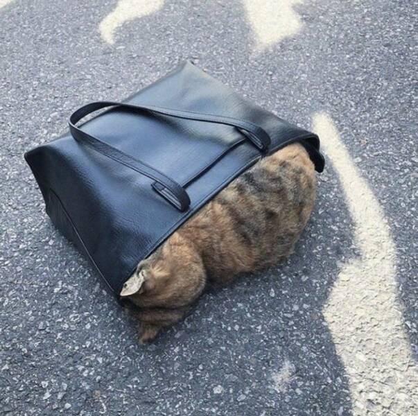 Подборка прикольных фото №3867