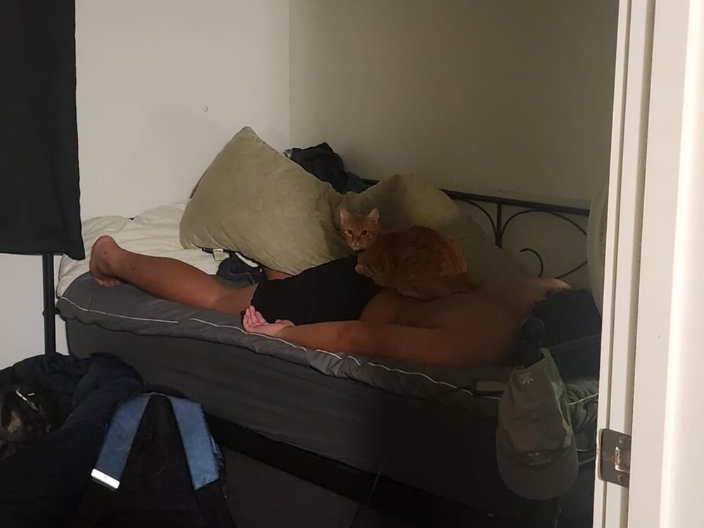 
        20&nbsp;примеров занятий котиков, считающих, что&nbsp;их&nbsp;никто не&nbsp;видит    