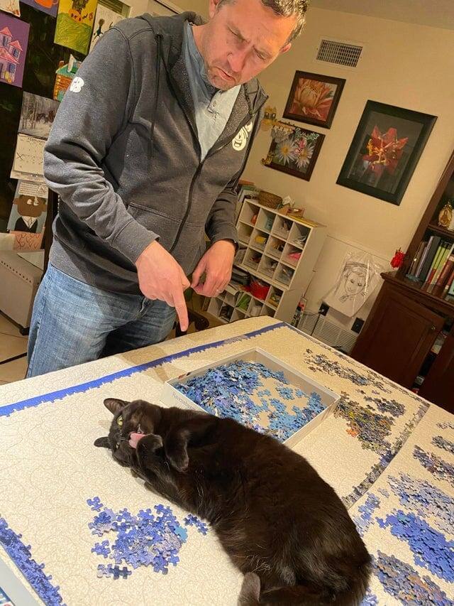 18 животных, которые перешли все границы дозволенного
18 животных, которые перешли все границы дозволенного