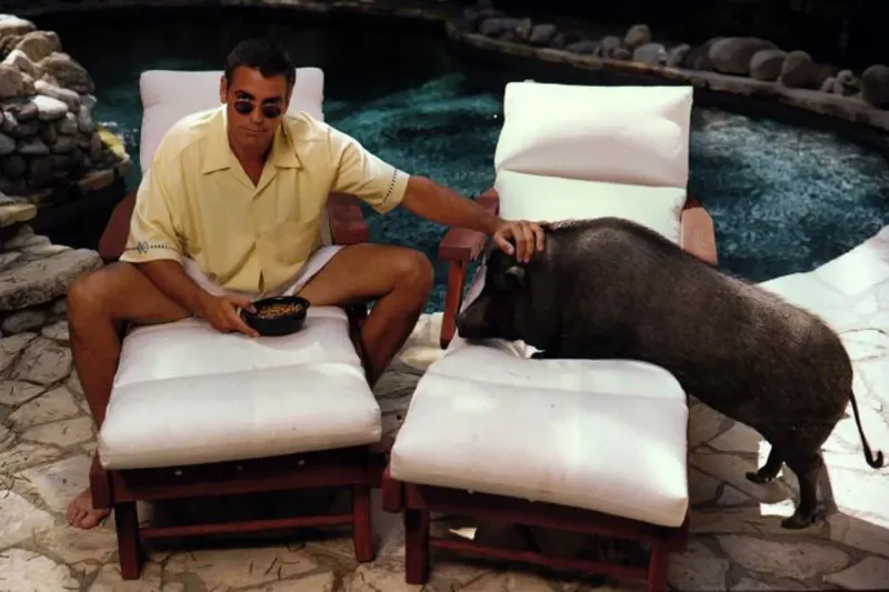 
        8&nbsp;знаменитостей, решившихся завести экзотических питомцев    