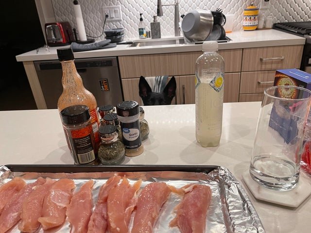 Смешные животные, которым нужна ваша еда (22 фото) Смешные животные, которым нужна ваша еда (22 фото)