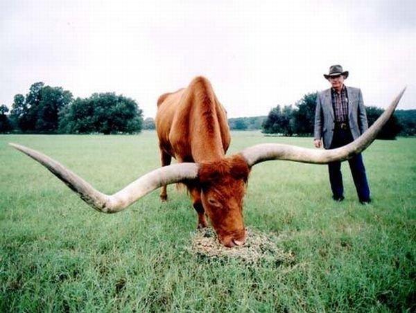 Подборка прикольных фото №3875