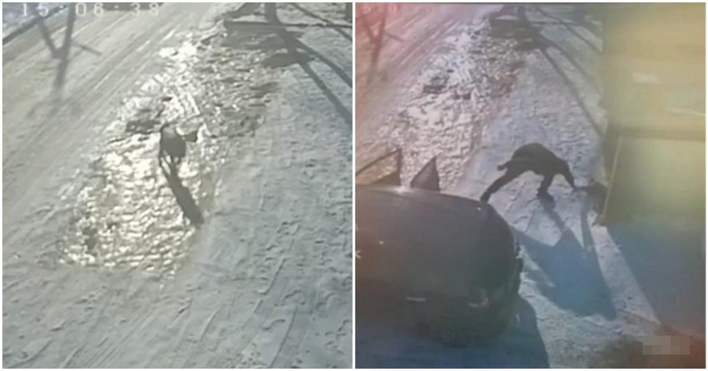 
        Мужчина застрелил собаку, чтобы позже съесть ее    