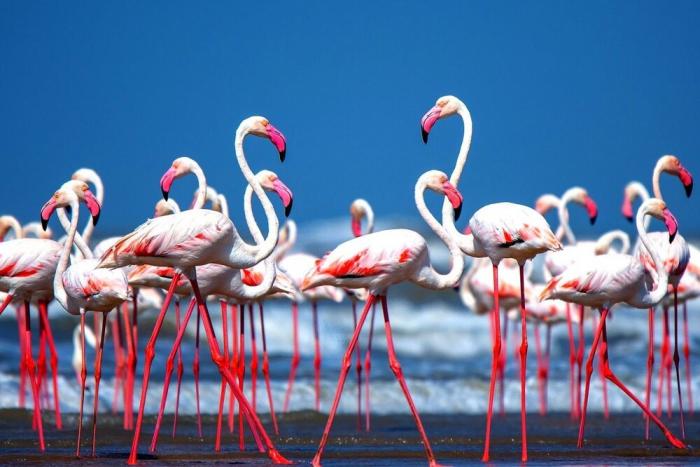 Подборка прикольных фото №3877