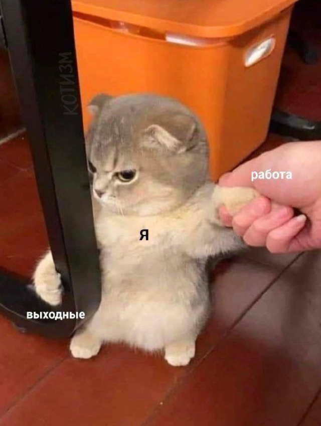 Подборка мемов про окончание праздников