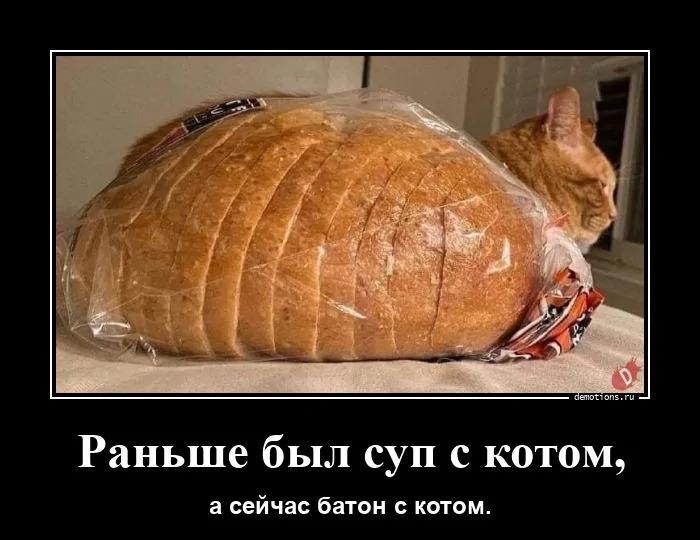 
			Демотиваторы №3781 (15 фото)