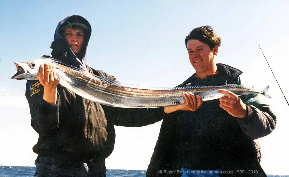 
        Рыба-сабля: её&nbsp;тело словно отлито из&nbsp;металла    