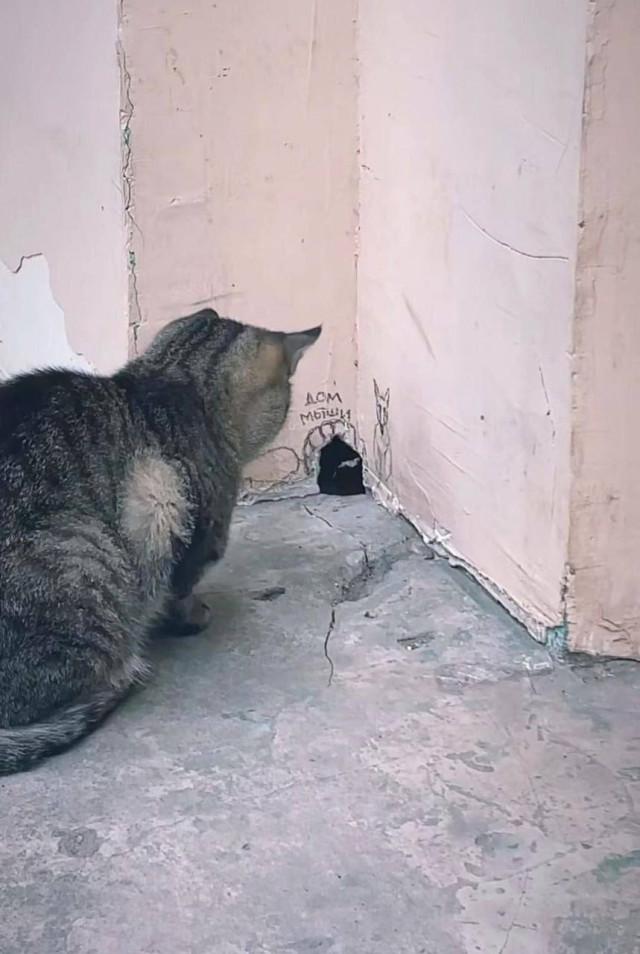 Подборка прикольных фото №3860