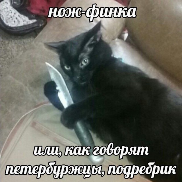 Лучшие шутки и мемы из Сети - 27.01.2026 (15 фото)