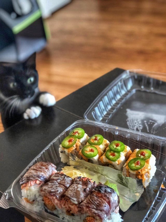 Смешные животные, которым нужна ваша еда (22 фото) Смешные животные, которым нужна ваша еда (22 фото)