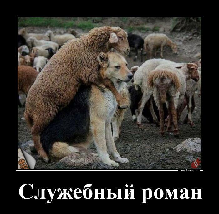 
			Демотиваторы №3782 (15 фото)