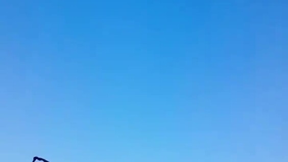 
        Мужчина пришёл на&nbsp;помощь черепахам    