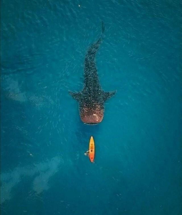 Подборка прикольных фото №3874