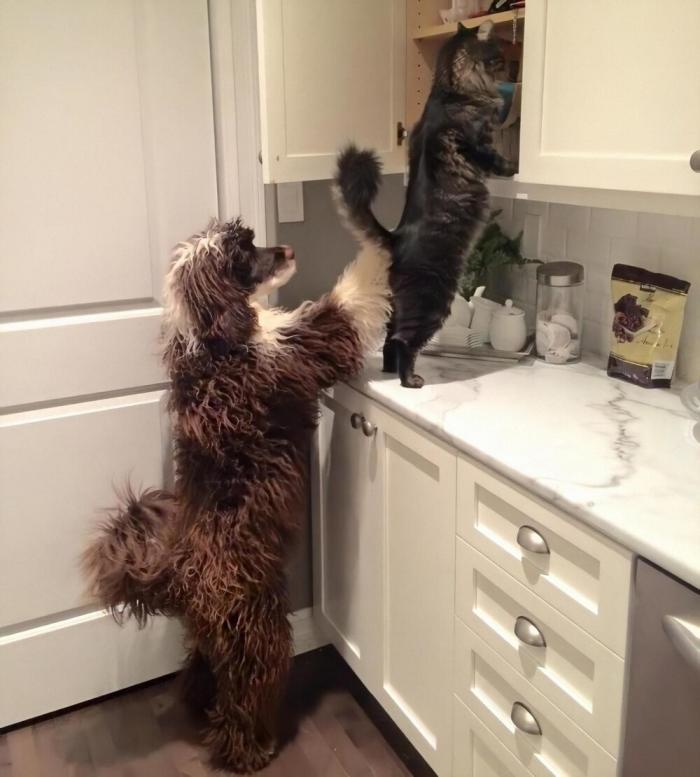 Подборка прикольных фото №3872