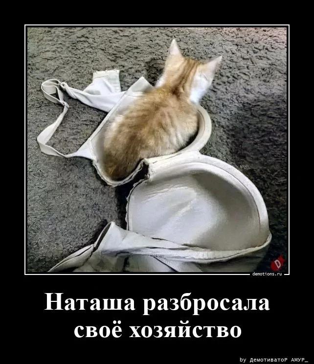 
			Демотиваторы №3780 (18 фото)