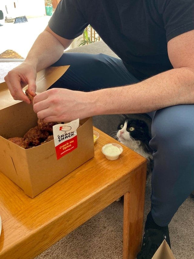 Смешные животные, которым нужна ваша еда (22 фото) Смешные животные, которым нужна ваша еда (22 фото)