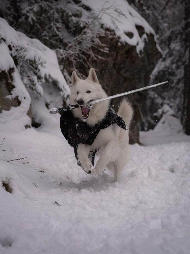 Подборка прикольных фото №3875